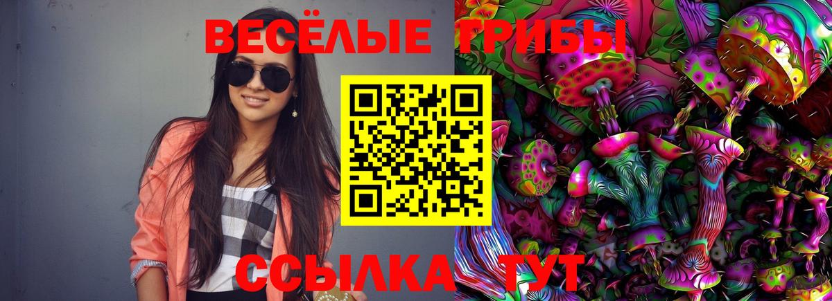 Сланцы  закладки  Вход с VPN  Галлюциногенные грибы Psilocybe  Псилоцибиновые грибы мухоморы 